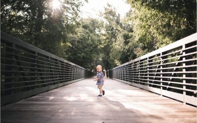 Meet Carter – ALL