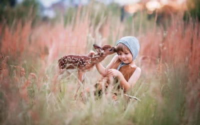Photographer Spotlight – Wendy Kovac Photography